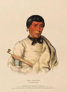 PEE-CHE-KIR, A CHIPPEWA CHIEF., from History of the Indian Tribes of North America