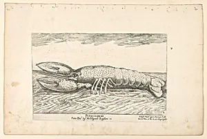 Periclemene, from Vessels of the Argonauts for the wedding celebration of Cosimo de' Medici in 1608