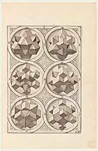 Perspectiva. Corporum Regularium.