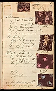 Pigment. Colors, 1883 & 4