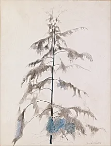 Pine Tree