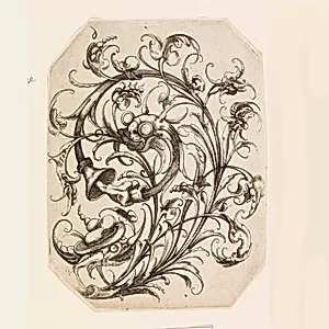Plate 6, from Die Folge der phantastischen SchmuckstrÃ¤Ãe (Suite of Fantastic Ornamental Bouquets)