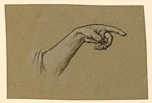 pointing left hand, wrist, forearm to beginning of sleeve