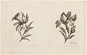 Print by Jean-Baptiste Pillement, French, 1728–1808