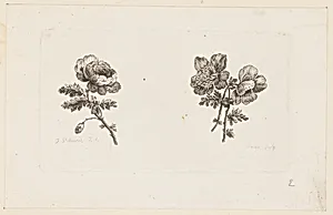 Print by Jean-Baptiste Pillement, French, 1728–1808