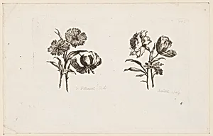 Print by Jean-Baptiste Pillement, French, 1728–1808