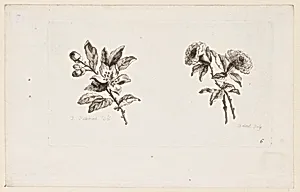 Print by Jean-Baptiste Pillement, French, 1728–1808