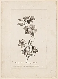 Print by Jean-Baptiste Pillement, French, 1728–1808