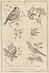 Print by Jean-Baptiste Pillement, French, 1728–1808