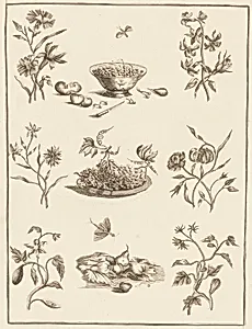 Print by Jean-Baptiste Pillement, French, 1728–1808