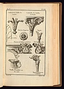 Print by Unknown