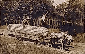 Riding a Giant Corncob to Market