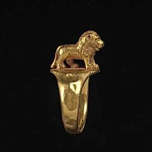 Ring by Unidentified