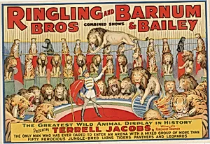 Ringling Bros. and Barnum & Bailey Combined Shows: The Greatest Wild Animal Display in History by Unidentified