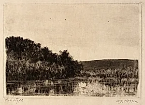 River Landscape
