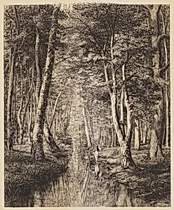 RiviÃ¨re sous bois