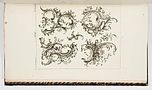 Rocaille Cartouche Designs