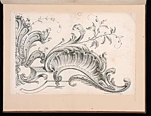 Rocaille Ornament Design