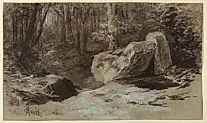 Rocks in the Woods