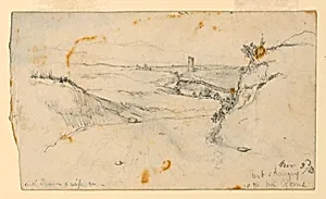 Roman Compagna