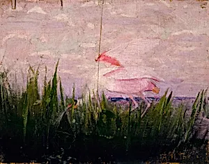 Roseate Spoonbill, study for book Concealing Coloration in the Animal Kingdom