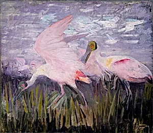 Roseate Spoonbills, study for book Concealing Coloration in the Animal Kingdom