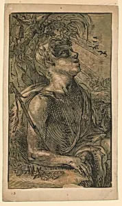 Saint John the Evangelist in the Wilderness