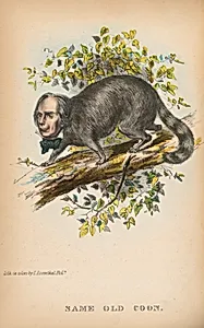 Same Old Coon