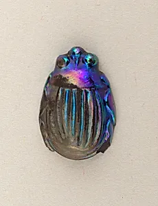 Scarab