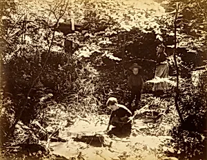 Scene in Fairy Dell, from the album Views of Charlestown, New Hampshire