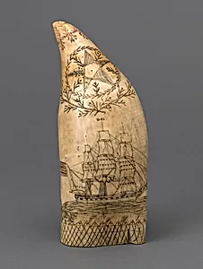 Scrimshaw by Unknown