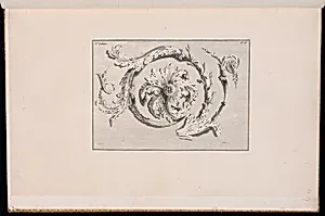 Scrolling Foliate Ornament Design