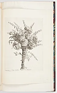 Semy doubles et Bruyere