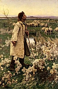 Shepherd