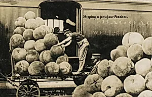 Shipping a Few of Our Peaches