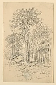 Sketch, Sugar Camp, Greensboro, Vt.