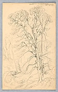 Sketches of Trees