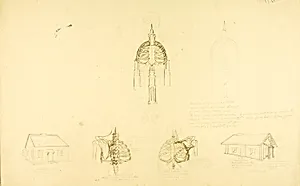 "Sound Construction" study