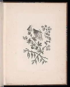 Spray of Flowers by Jean-Baptiste Pillement, French, 1728–1808