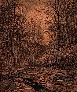Spring Brook, Rock Creek Park