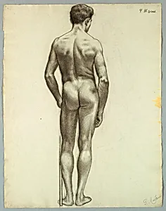 Standing male nude seen from the back