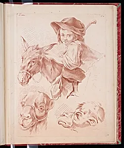 Studies of a Boy Riding a Donkey and Camel Heads