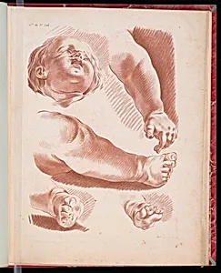Studies of a Childâs Head, Feet, and Arm