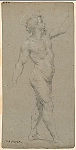 Studies of a male nude