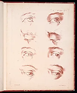 Studies of Eyes