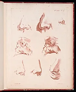 Studies of Noses