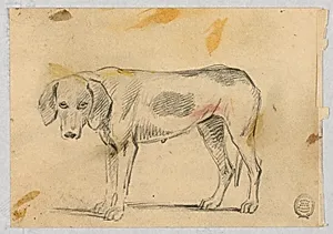Studies of Two Greyhounds