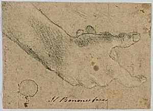 Study: A right hand