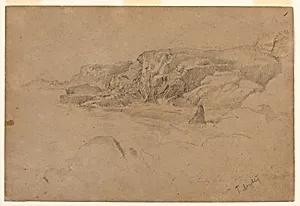 Study from Nature