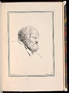 Study of a Bearded Man